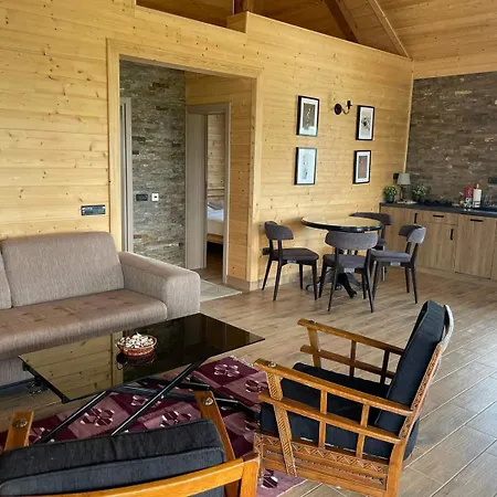 Case de vacanță Jelena Nikojevici